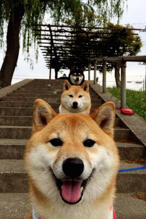 《2025电竞科技大会：揭示行业最新突破与创新》，2024电竞