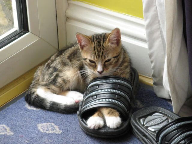 下载开云-传统民族蹴鞠比赛，传承古老运动文化，蹴鞠宣传