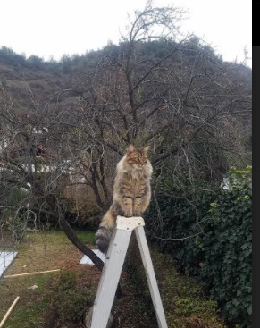 南方地区篮球发展迅速，赛事频繁引关注，南北方篮球比赛