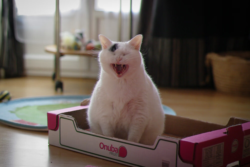 特色篮球文化演出在全国巡演，弘扬中华体育精神，篮球表演节目名称