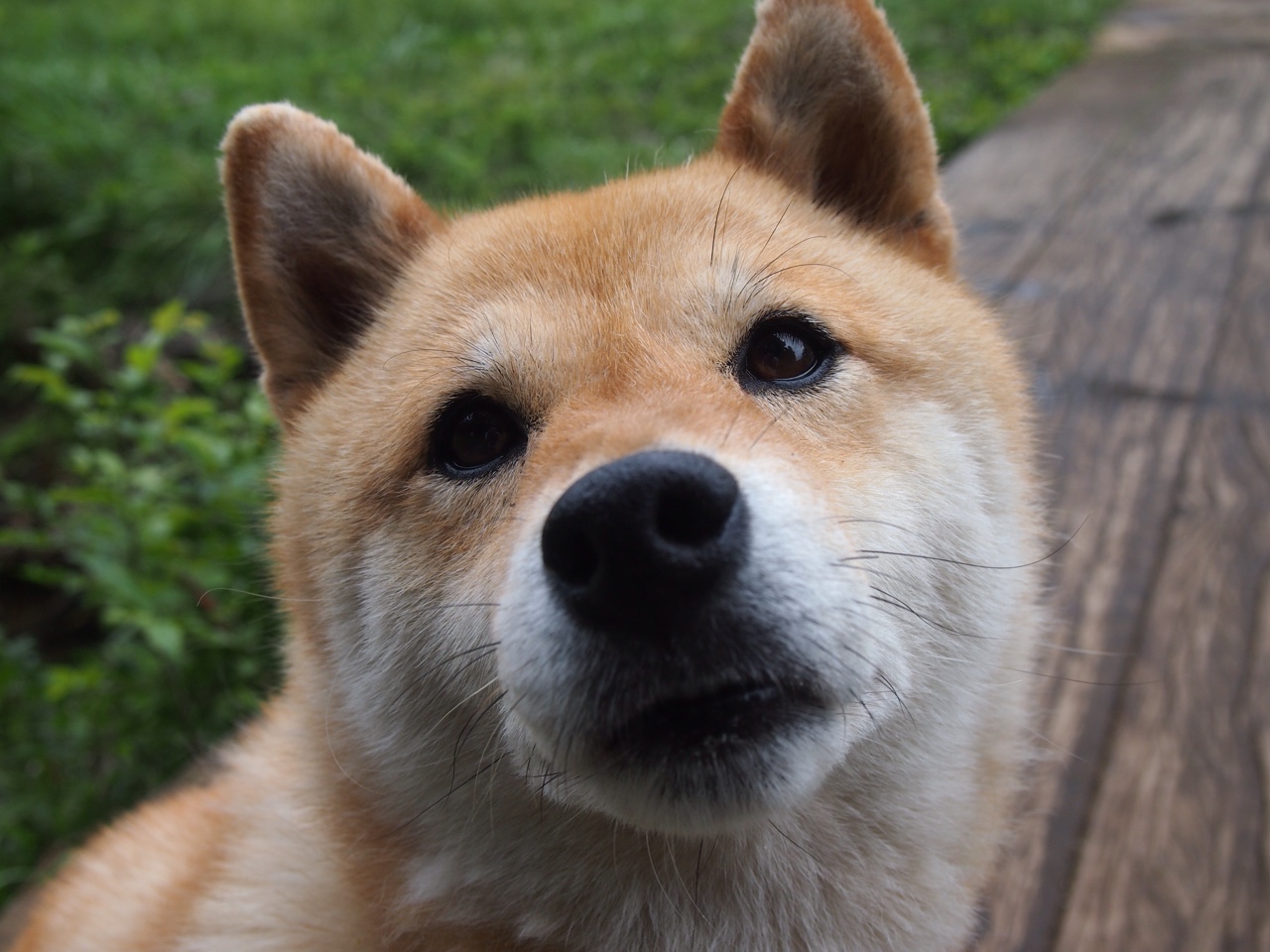 英超：阿森纳连续九场不败，追赶领头羊，阿森纳英超冠军阵容