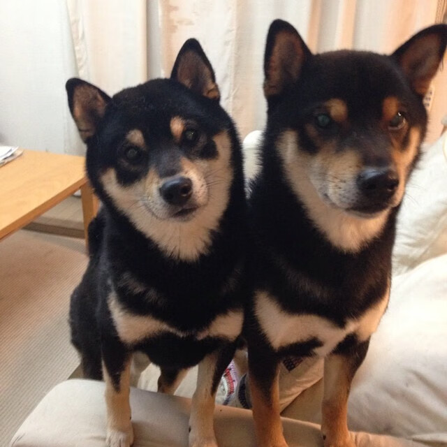 佩纳罗尔连续多场比赛不败，佩纳罗尔足球俱乐部