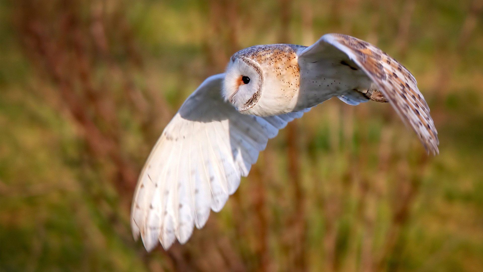 中超球队主客场表现差异,中超联赛主客场