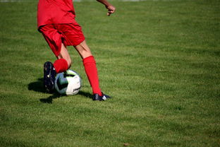 开云官方-篮球运动员心理韧性培养及心理干预体系建设，篮球运动员心理素质的重要性