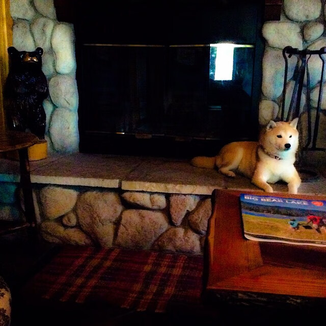 中国三人篮球女队技术提升显著,中国三人女篮球名单