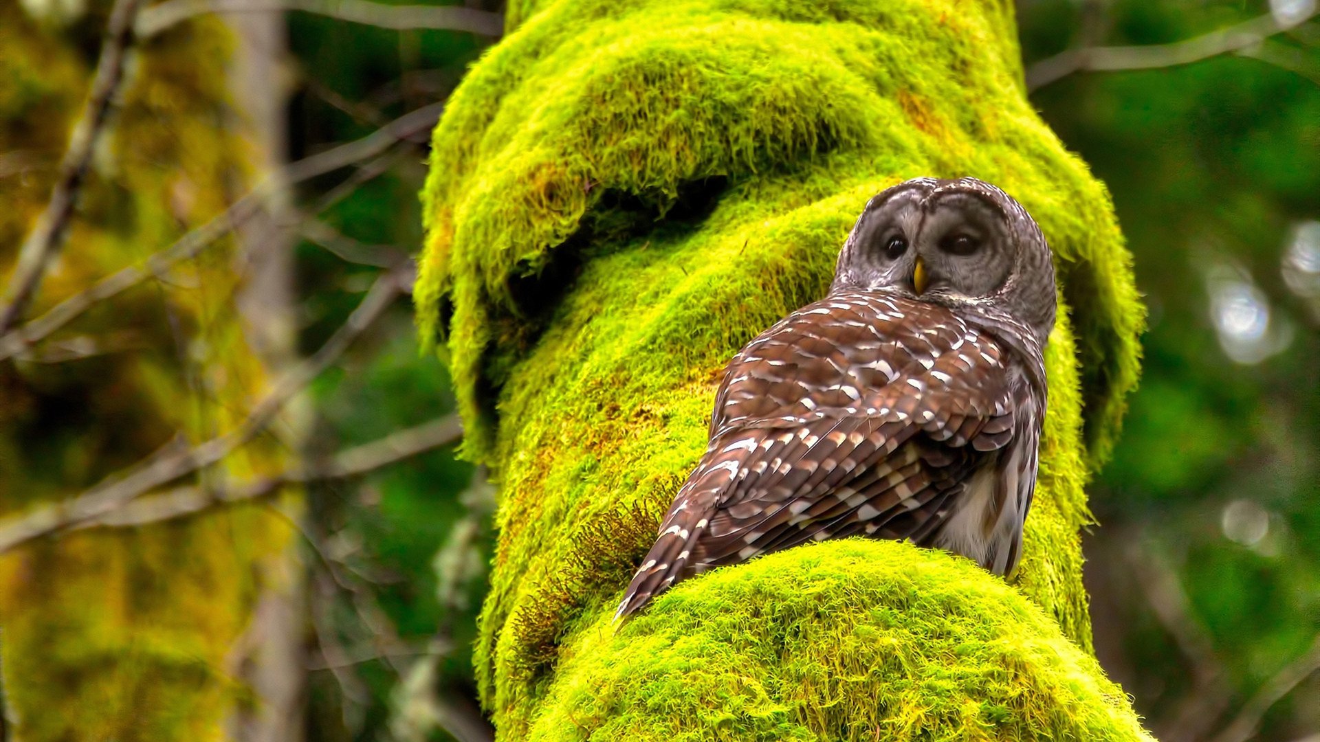 南特通过高位逼抢打出强烈节奏,南特高商相当于国内什么大学